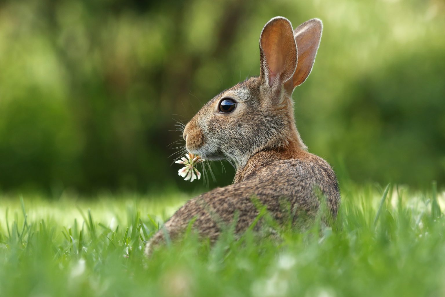 Ostern - 2022 - Unterplan Baubetreuung GmbH - Leipzig